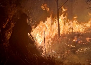 Bomberos controlaron incendio de malezas que amenazaba una vivienda en Santa Ana
