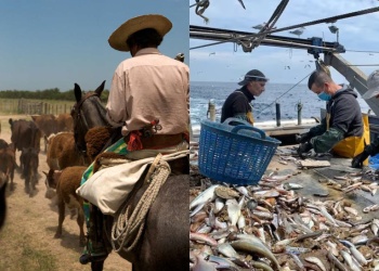 Derogan batería de normas que impactaría en la industria ganadera y pesquera