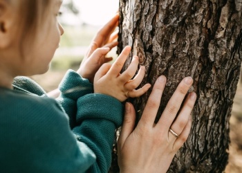 Elevamos nuestra frecuencia