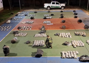 Operativo Pinares: decomisan media tonelada de marihuana