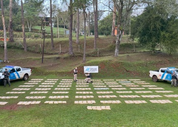 Nuevo golpe al narcotráfico en el río Paraná