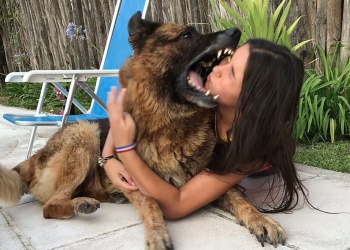 Mordeduras de perros: la mayoría son contra niños, ¿”víctimas” o “amenazas”?