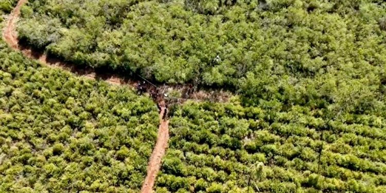 AISLADO. El lugar donde encontraron los restos está a 200 metros de la ruta provincial 9, en una zona de plantaciones, sin viviendas cerca.