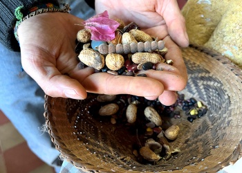 Se cumplen 28 años de la iniciativa que protege las semillas misioneras