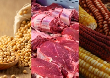 El Gobierno oficializó la baja de las retenciones a soja, carne, maíz, sorgo y girasol
