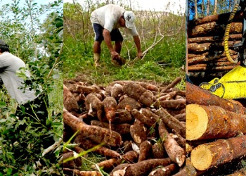 Muchas luces rojas en el semáforo de las economías regionales