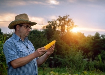 En Misiones celebran el Día de la Ingeniería Agronómica con más de 500 profesionales en actividad