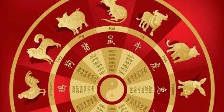 xr:d:DAFkIMQ5pzQ:1918,j:7118355634031112701,t:24012320