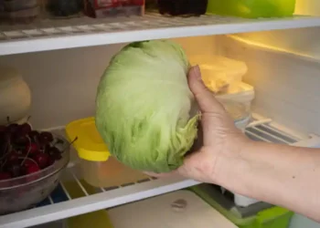 El truco definitivo: dónde hay que conservar la lechuga para que no se pudra