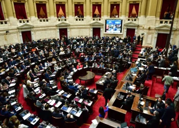Cómo votaron los diputados misioneros a los vetos de Milei a las leyes de aumento a jubilados, moratoria previsional y emergencia en discapacidad