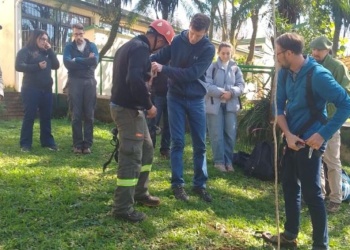 Eldorado: capacitan en “escalada de árboles”