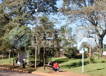 “Cada vez son más chicos quienes migran hacia el Brasil por falta de oportunidades”