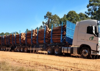 Por la libre circulación de bitrenes “los riesgos cada vez van a ser mayores”, advierten