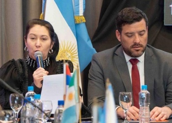 Discapacidad: nuevo encuentro del COFEDIS con pocas soluciones a la vista