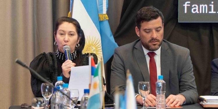 CRÍTICA. La representante misionera lidera las reuniones del COFEDIS desde mayo.