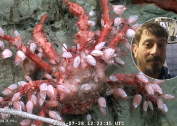 “Fue sorprendente ver paisajes marinos sacados de una película de ciencia ficción”