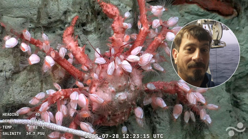 “Fue sorprendente ver paisajes marinos sacados de una película de ciencia ficción”