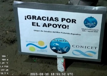 Ciencia desde el fondo de mar: “Gracias por el apoyo”, el cartel del Conicet que emocionó a todos