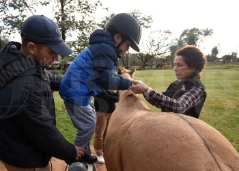 Equinoterapia en acción: un vínculo afectivo transformador