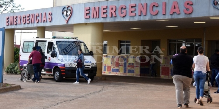 VIRUS. Los virus que más circulan son el sincicial respiratorio, principal causante de la bronquiolitis, y el H1N1.