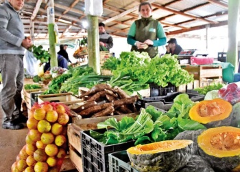 Las Ferias Francas celebran tres décadas en Misiones con nuevos desafíos y una mirada al futuro