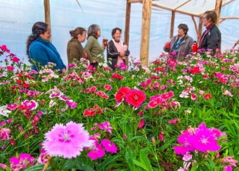 Nació “Misioflor”, la cooperativa que impulsa la cadena productiva de flores en Misiones