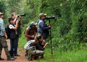 Puerto Iguazú se prepara para el Encuentro Internacional de Observación de Aves