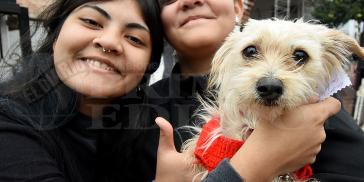 San Roque: una fiesta de fe, ternura y compromiso con los animales