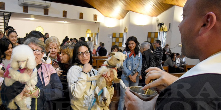 San Roque: una fiesta de fe, ternura y compromiso con los animales