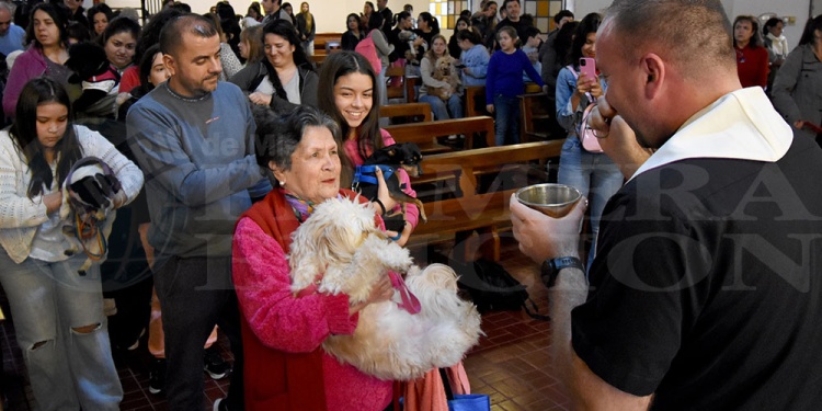 San Roque: una fiesta de fe, ternura y compromiso con los animales