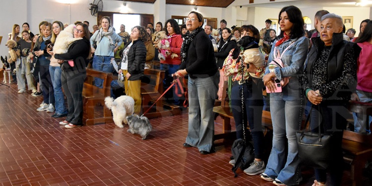 San Roque: una fiesta de fe, ternura y compromiso con los animales