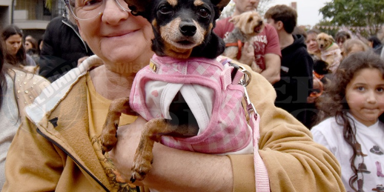 San Roque: una fiesta de fe, ternura y compromiso con los animales
