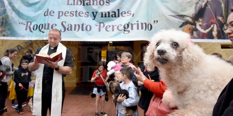 San Roque: una fiesta de fe, ternura y compromiso con los animales
