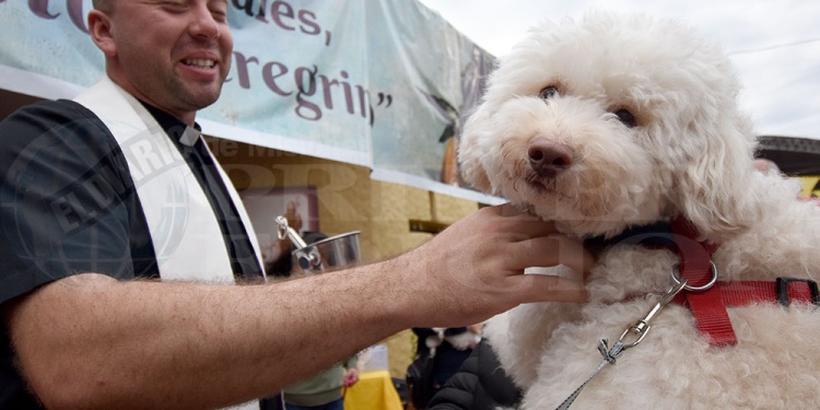 San Roque: una fiesta de fe, ternura y compromiso con los animales
