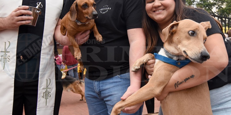 San Roque: una fiesta de fe, ternura y compromiso con los animales