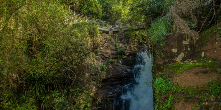 Gentileza: Iguazú Argentina S.A.