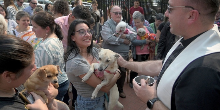 PROTEGIDOS. Decenas de mascotas se acercan a recibir la bendición.