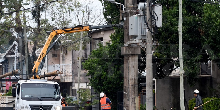 MANTENIMIENTO.  ¿De quien es la obligatoriedad de plantar, podar, mantener o talar en la vía pública?