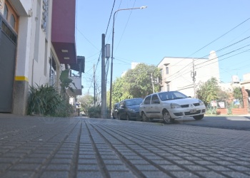 Poda autorizada: “Hay que plantar sí o sí, estamos  intimando a quienes no lo hacen”