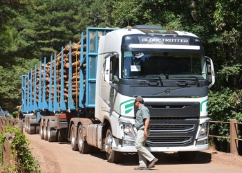 La habilitación de bitrenes “es una locura”