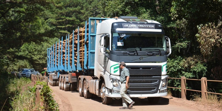 MÁS. Los camiones bitrenes tienen como máximo 30,25 metros, diez metros más que los tradicionales.