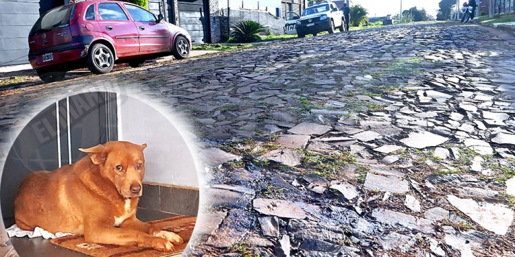 CANELA. Murió aplastado por la camioneta a las 12.10 del viernes.