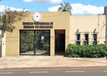 Alertan sobre banda de estafadores que acecha a veterinarios con falsas urgencias