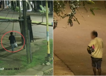 Gracias al sistema de videovigilancia detuvieron a dos delincuentes en Posadas