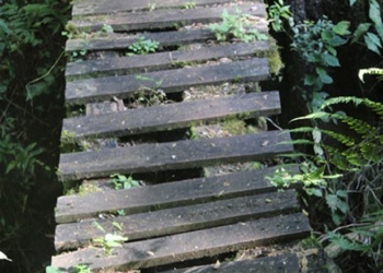 Todo comienza en tu interior