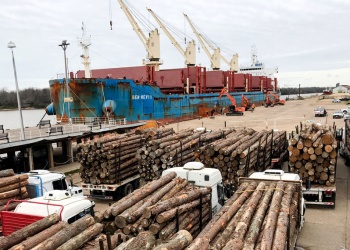 La suba de aranceles de EEUU a Brasil puede beneficiar a la madera de Misiones