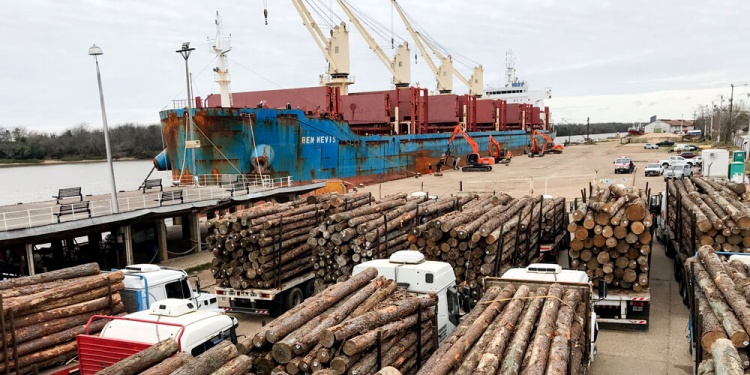 EXPORTACIONES. Si Brasil se encarece, se puede abrir una ventana para las empresas misioneras en EEUU.