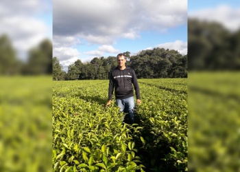 Histórico productor misionero abandonó la chacra tras una vida dedicada a la cosecha