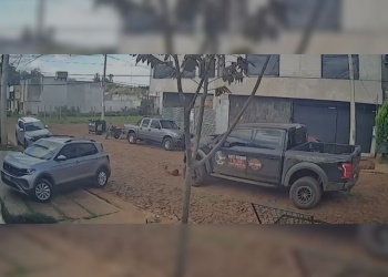 Video: la policía busca a un conductor que atropelló y mató a un perro en Posadas