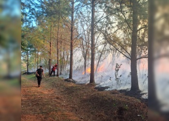 Intensa actividad de Bomberos de la Policía por múltiples focos de incendio en la provincia